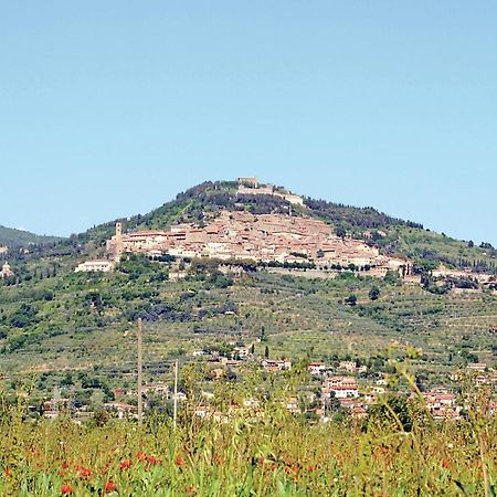 Il Marinocchio Di Malatesti II Arezzo Esterno foto