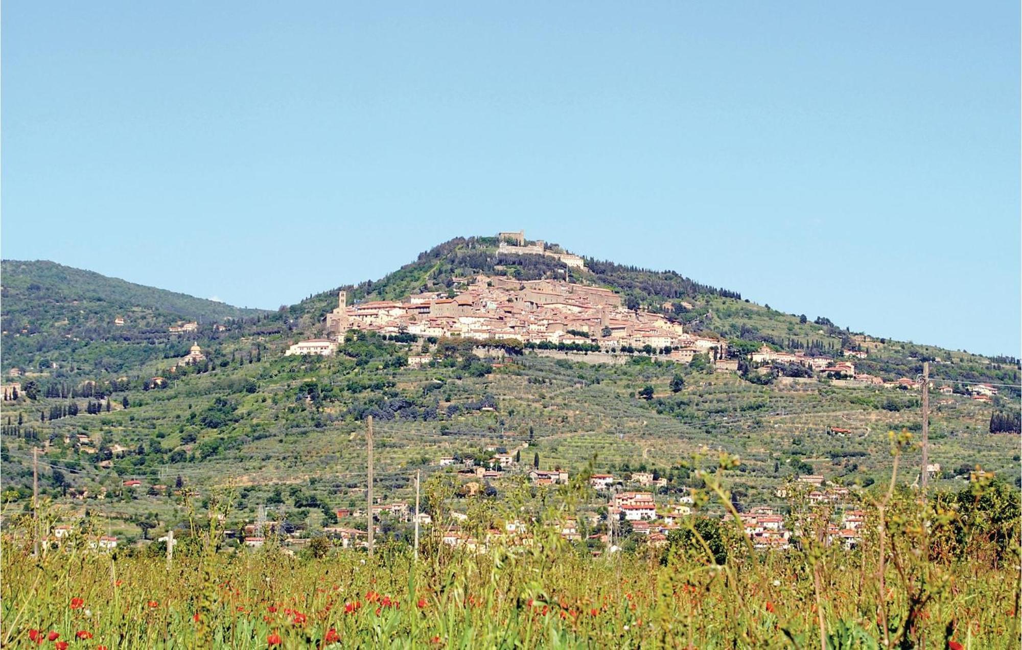 Il Marinocchio Di Malatesti II Arezzo Esterno foto